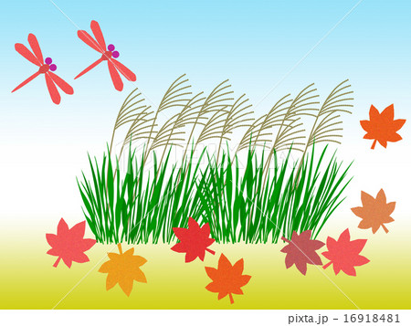ススキとモミジと赤とんぼのイラスト素材