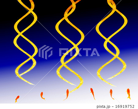 金魚のレース 16919752