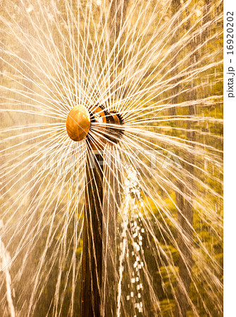 Petrodvorets. Fountain Sun. Clouseup 16920202