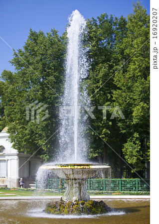 Petrodvorets. Fountain Bowl. 16920207