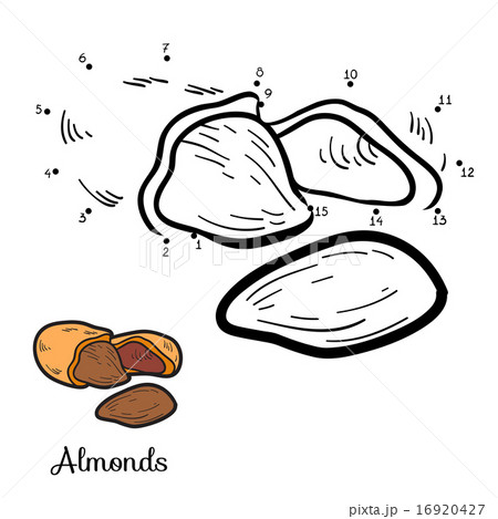 Numbers game (almonds)のイラスト素材 [16920427] - PIXTA