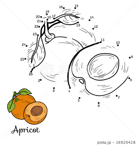 Numbers vector game (apricot) Numbers vector game (apricot) 16920428