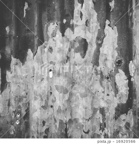 black and white old zinc sheet Fill  16920566