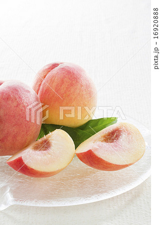 桃 桃 16920888