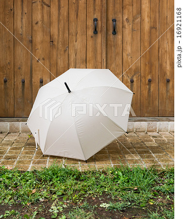 傘 傘 16921168