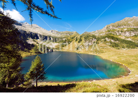 Lago di Campo - Adamello Trento Italy 16922200