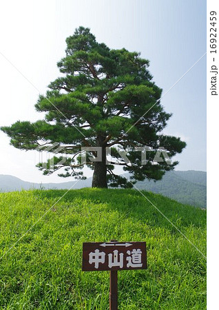 中山道　平出一里塚　長野県の史跡　（長野県塩尻市平出）南側～縦 16922459