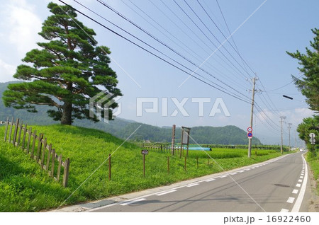 中山道　平出一里塚　長野県の史跡　（長野県塩尻市平出）中山道と南側の一里塚 16922460