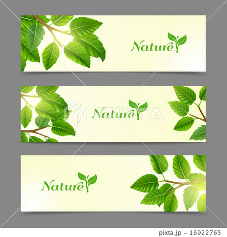 Green leaves eco banners set 16922765