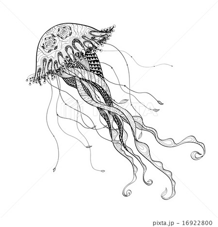 Doodle sketch medusa jellyfish black line 16922800