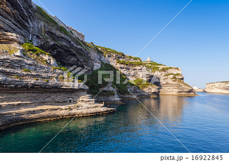 Rocky cliffs with old fortifications. Bonifacio 16922845