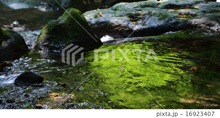 霧降の隠れ三滝 16923407