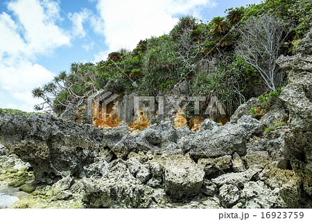 渡海浜の奇岩石 渡海浜の奇岩石 16923759