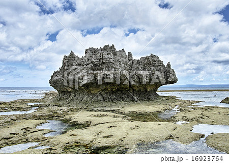 渡海浜の奇岩石 16923764