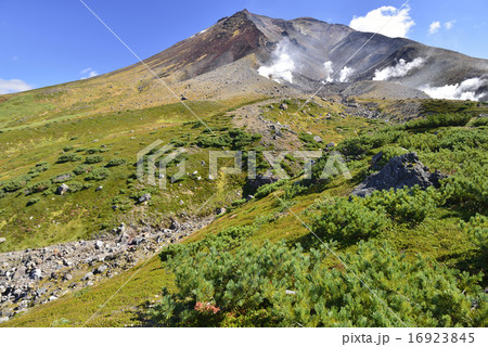 大雪山・旭岳周辺／北海道　東川町 16923845