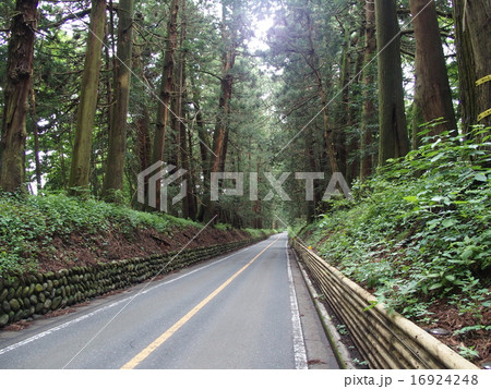 日光杉並木・イメージ（０２） 16924248