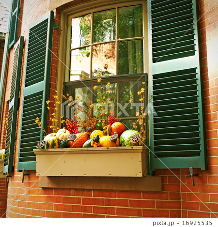Pumpkins near house window for Halloween 16925535