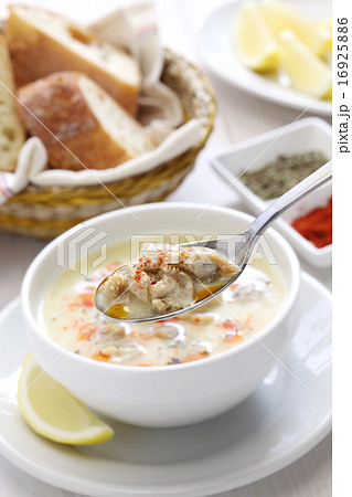 イシュケンベチョルバス 16925886