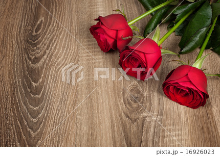 Red rose flower on wood 16926023