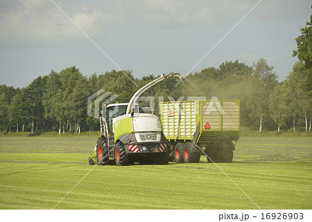 Forage harvester and transport grass 16926903