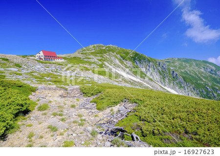 天狗荘と木曽駒ヶ岳 16927623
