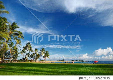 Sunrise with palm trees in Salt Pond Beach Park 16927639