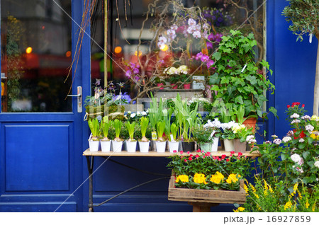 Beautiful flowers sold on outdoor flower shop Beautiful flowers sold on outdoor flower shop 16927859