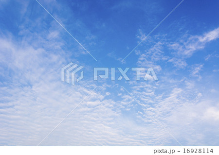 早朝の夏空 早朝の夏空 16928114