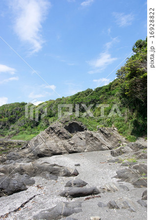 三浦半島、長浜海岸の風景 16928822