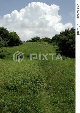 入道雲と登山道 道後山 入道雲と登山道 道後山 16929352
