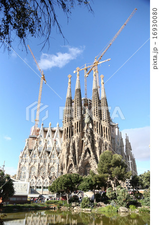 サグラダ・ファミリア聖堂 16930080