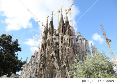 サグラダ・ファミリア聖堂 16930089