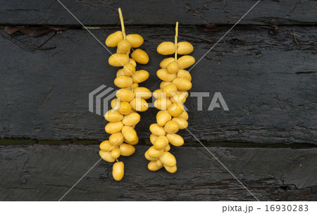 Dates on wooden background 16930283