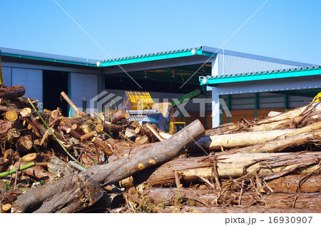 間伐材を木質チップに 間伐材を木質チップに 16930907