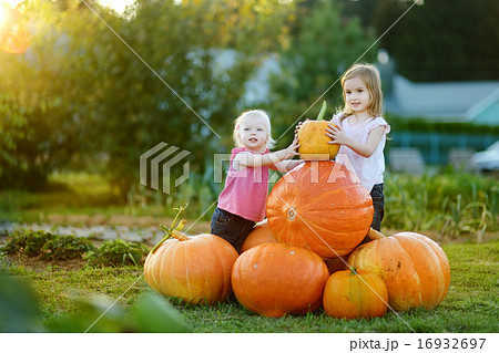 Two little sisters sitting on huge pumpkins 16932697