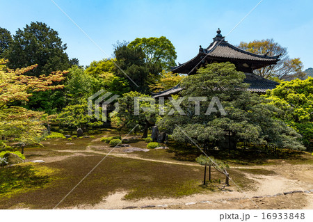 鹿王院 16933848