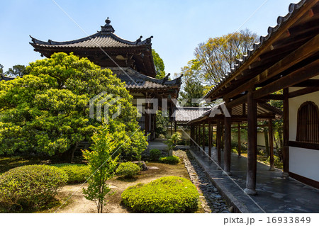 鹿王院 16933849