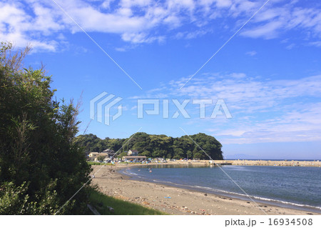 三戸浜（三浦市）の夏　 16934508