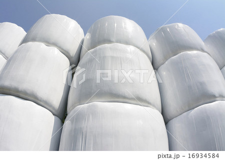 牧草ロール 16934584