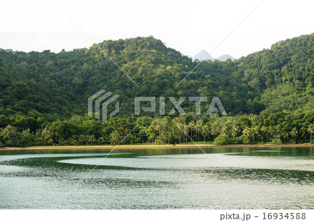 Picturesque landscape  16934588