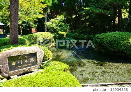 南阿蘇 白川水源 南阿蘇 白川水源 16934868