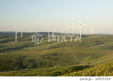 宗谷丘陵 16935329