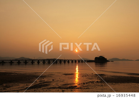 津嶋さんと夕陽 16935448