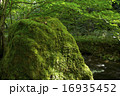 逹沢不動滝 16935452