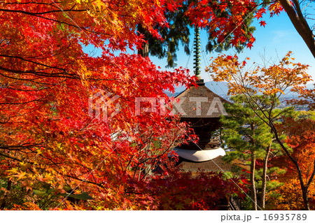 紅葉の常寂光寺 紅葉の常寂光寺 16935789