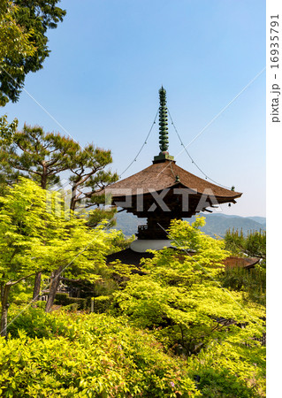常寂光寺 - 新緑 常寂光寺 - 新緑 16935791