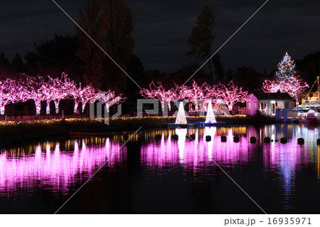 東武動物公園のイルミネーション 16935971