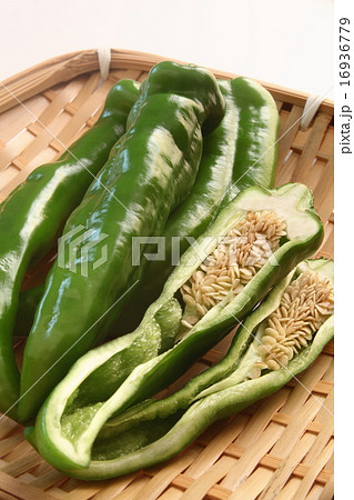 万願寺唐辛子　アップ 16936779