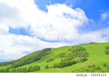 広大な草原と青空 背景素材 の写真素材