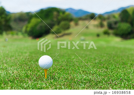 ゴルフ ティーグラウンド ゴルフ ティーグラウンド 16938658